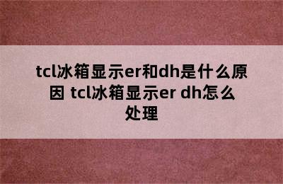 tcl冰箱显示er和dh是什么原因 tcl冰箱显示er dh怎么处理